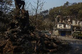 Larouco fire (Ourense) reaches 20,000 hectares burned and becomes the largest in the history of Galicia