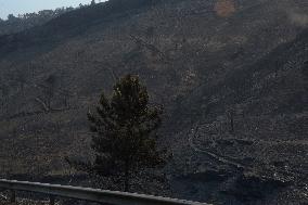 Larouco fire (Ourense) reaches 20,000 hectares burned and becomes the largest in the history of Galicia