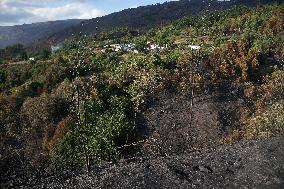 Fire Moves Toward O Courel from Quiroga - Spain