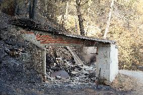 Fire Moves Toward O Courel from Quiroga - Spain