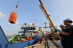 Russian Imported Golden King Crabs Arrived at Yantai Port