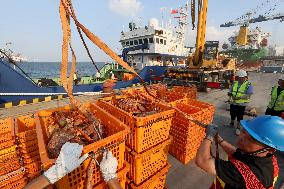 Russian Imported Golden King Crabs Arrived at Yantai Port