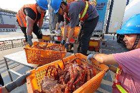 Russian Imported Golden King Crabs Arrived at Yantai Port