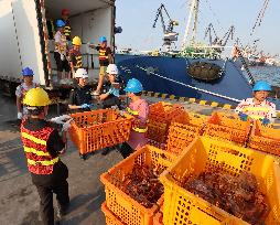Russian Imported Golden King Crabs Arrived at Yantai Port