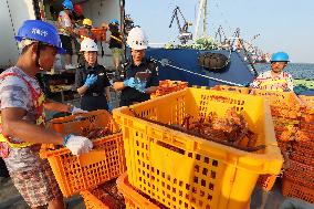 Russian Imported Golden King Crabs Arrived at Yantai Port