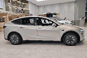 TESLA Model Y L EV