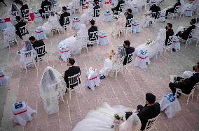 Kurdistan Democratic Party Celebrates 79th Anniversary With Mass Wedding - Iraq