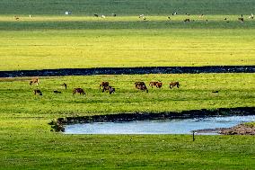 Inner Mongolia Hulun Buir Mergel Gol River Scenery - China