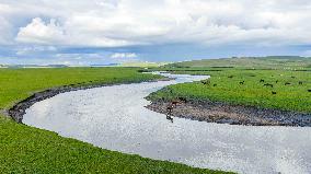 Inner Mongolia Hulun Buir Mergel Gol River Scenery - China