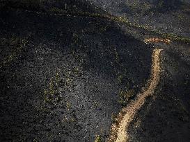 Larouco Fire Threatens Protected Areas - Spain