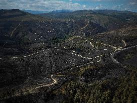 Larouco Fire Threatens Protected Areas - Spain