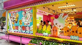 ?
Pop Mart Release LABUBU Mini Version