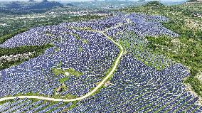 Barren Mountain PV Power Station