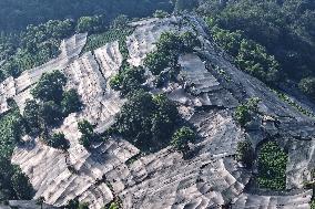 Tea Plantation Safety Under High Temperature