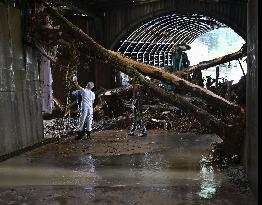 Heavy rain in northeastern Japan