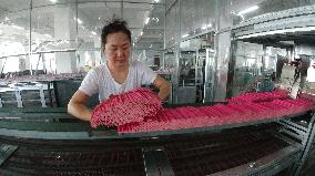 Pencil Manufacturing in Binzhou