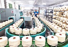 China Xinjiang Textile Industry