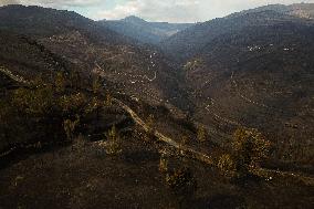 Larouco Fire Threatens Protected Areas in O Courel - Spain
