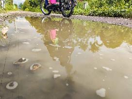 Independence and Housing 80 Years of Promises - Indonesia