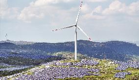 China Sets Record For Total Electricity Consumption in July