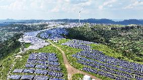 China Sets Record For Total Electricity Consumption in July