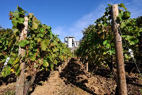 Illustration - Bercy