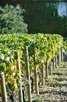 Illustration - Bercy