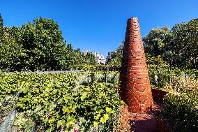 Illustration - Bercy