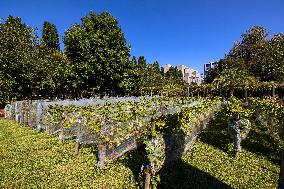 Illustration - Bercy