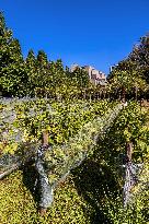 Illustration - Bercy