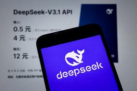 DeepSeek-V3.1