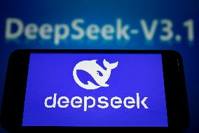DeepSeek-V3.1