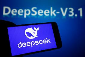 DeepSeek-V3.1