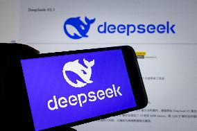 DeepSeek-V3.1