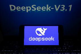 DeepSeek-V3.1