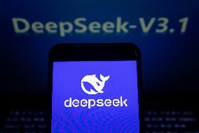 DeepSeek-V3.1