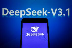 DeepSeek-V3.1
