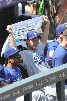 Baseball:Shohei Ohtani