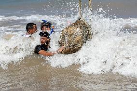 Archaeological Finds Retrieved from Mediterranean Sea in Alexandria - Egypt