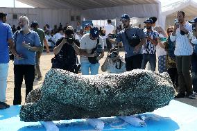 Archaeological Finds Retrieved from Mediterranean Sea in Alexandria - Egypt