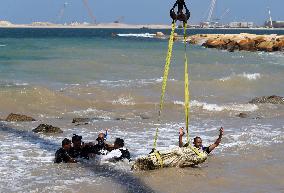 Archaeological Finds Retrieved from Mediterranean Sea in Alexandria - Egypt