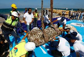 Archaeological Finds Retrieved from Mediterranean Sea in Alexandria - Egypt