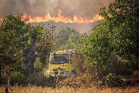 Four active fires, three stabilized and eight under control in Asturias