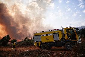 Four active fires, three stabilized and eight under control in Asturias