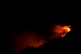 More than 158,000 hectares burned by fires in Galicia in August, according to Copernicus