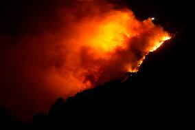 More than 158,000 hectares burned by fires in Galicia in August, according to Copernicus