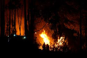 More than 158,000 hectares burned by fires in Galicia in August, according to Copernicus