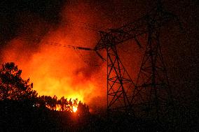 More than 158,000 hectares burned by fires in Galicia in August, according to Copernicus