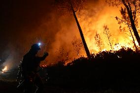 More than 158,000 hectares burned by fires in Galicia in August, according to Copernicus