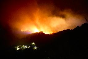 More than 158,000 hectares burned by fires in Galicia in August, according to Copernicus